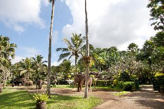 Mason Elephant Park and Lodge Gianyar Bali fotoÄŸrafÄ±
