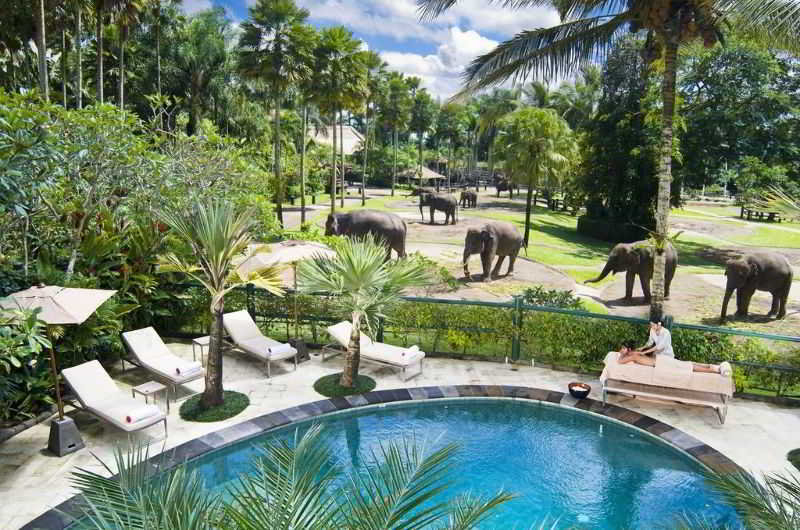 Mason Elephant Park and Lodge Gianyar Bali fotoÄŸrafÄ±