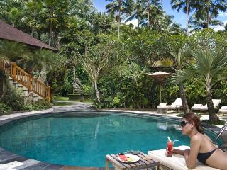 Mason Elephant Park and Lodge Gianyar Bali fotoÄŸrafÄ±