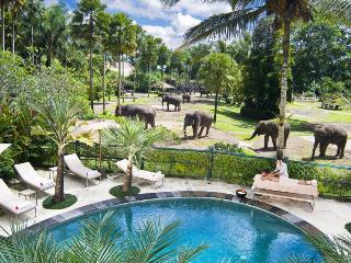 Mason Elephant Park and Lodge Gianyar Bali fotoÄŸrafÄ±