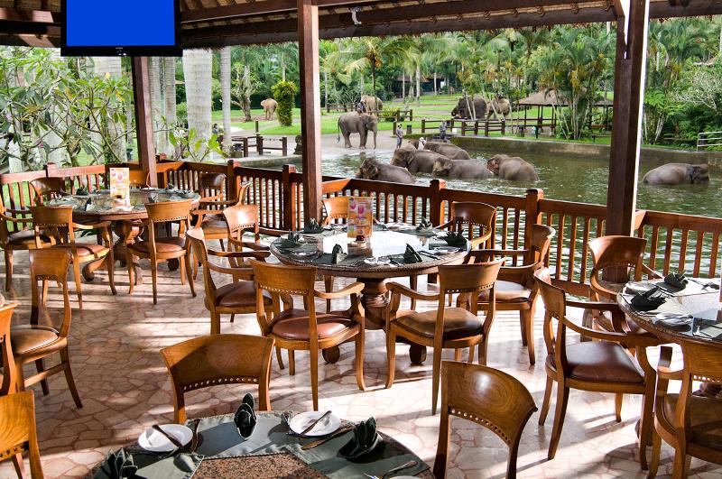 Mason Elephant Park and Lodge Gianyar Bali - Restoran