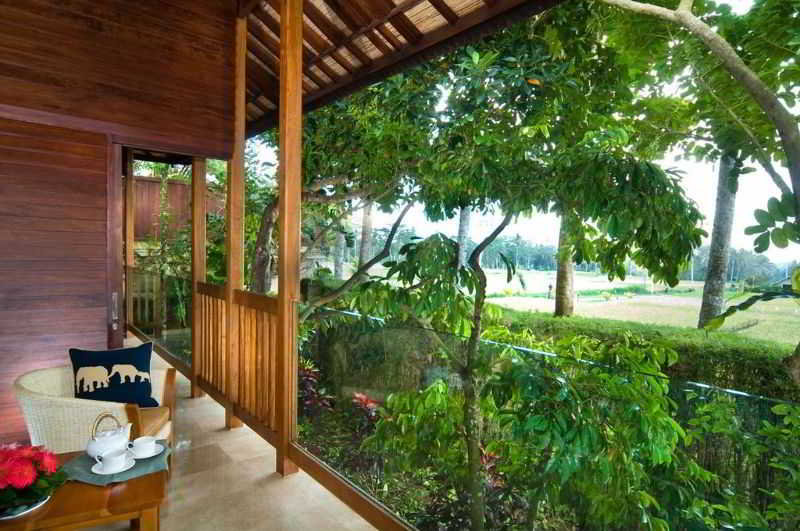Mason Elephant Park and Lodge Gianyar Bali fotoÄŸrafÄ±