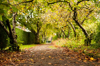 Llangoed Hall Hotel fotoÄŸrafÄ±