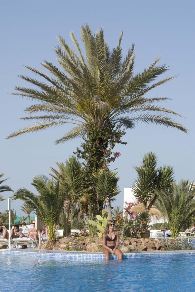 Seabel Rym Beach Djerba - Genel