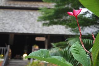 Rainforest ChiangMai Hotel fotoÄŸrafÄ±