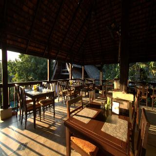 Rainforest ChiangMai Hotel fotoÄŸrafÄ±