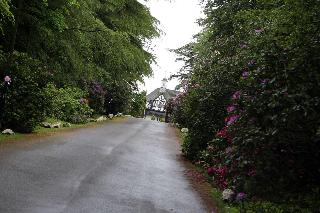 Maes Manor Country Hotel fotoÄŸrafÄ±