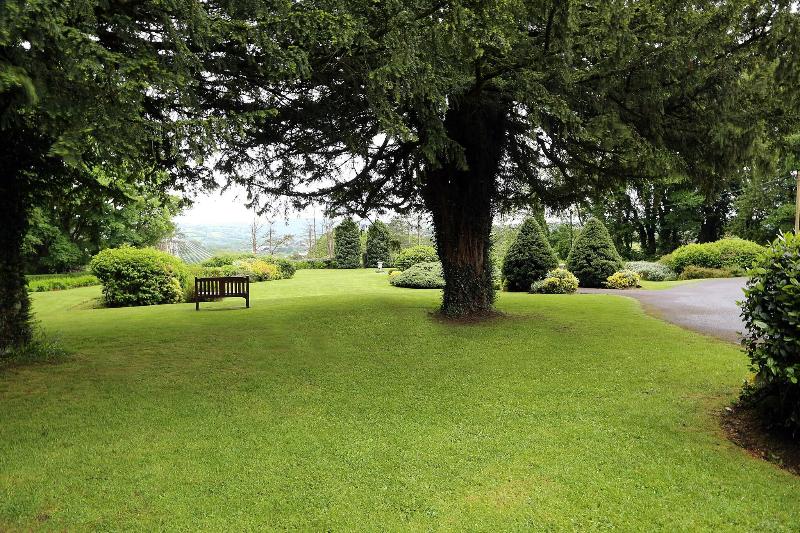 Maes Manor Country Hotel - Teras