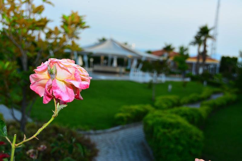 Tripolis Hotel - Teras