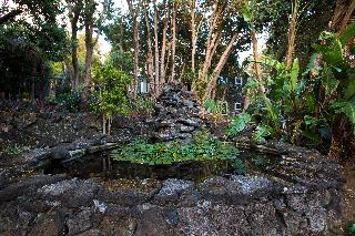 Aldeia Da Fonte - Nature Hotel fotoÄŸrafÄ±