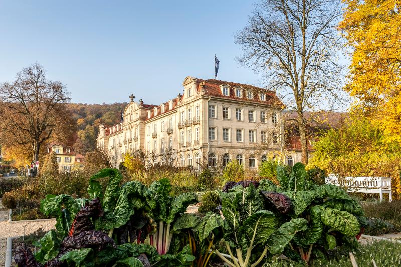 Dorint Resort & Spa Bad Bruckenau - Genel