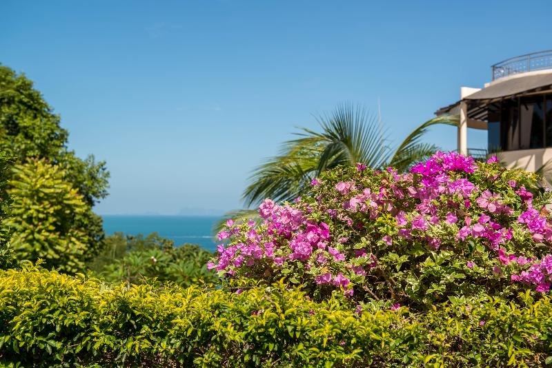 Sunset Hill Resort - Genel