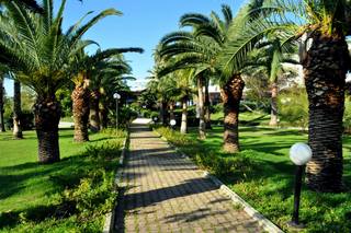Starlight Resort Hotel fotoÄŸrafÄ±