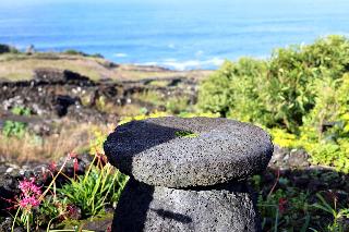 Adegas Do Pico fotoÄŸrafÄ±