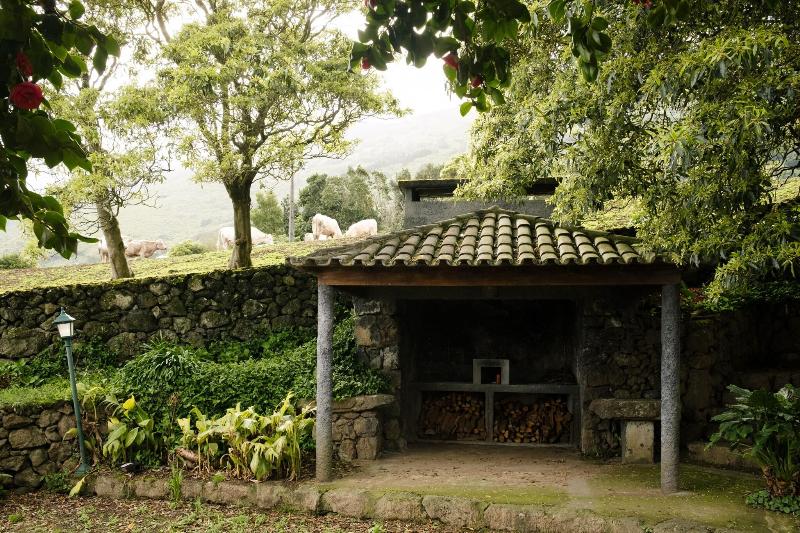 Adegas Do Pico - Teras