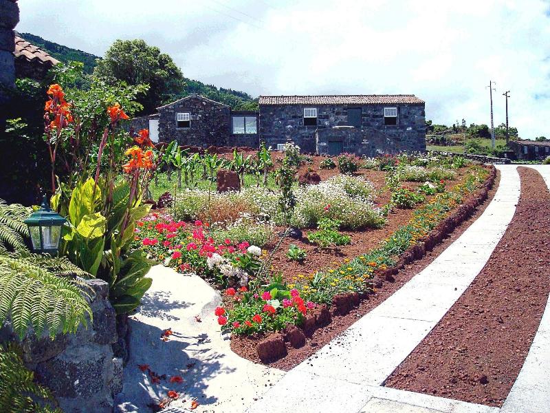 Adegas Do Pico - Teras