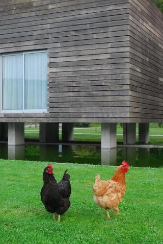 Furnas Lake Villas fotoÄŸrafÄ±