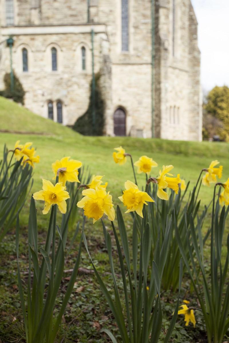 Alverton ManorTruro - Genel