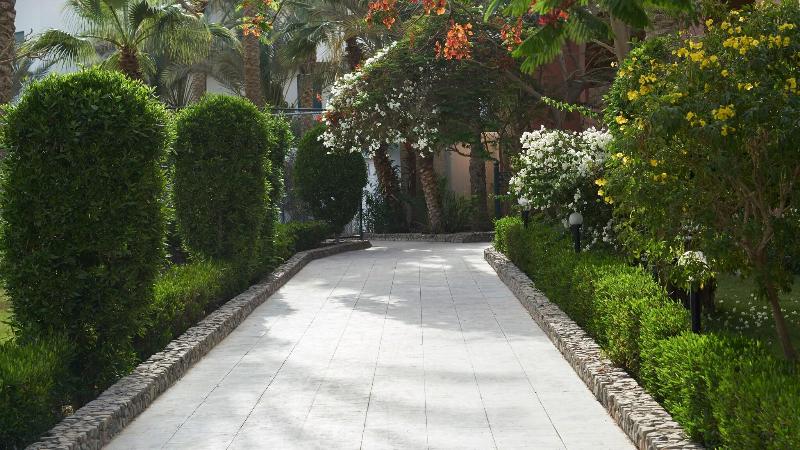 Bel Air Azur Resort Hurghada - Teras