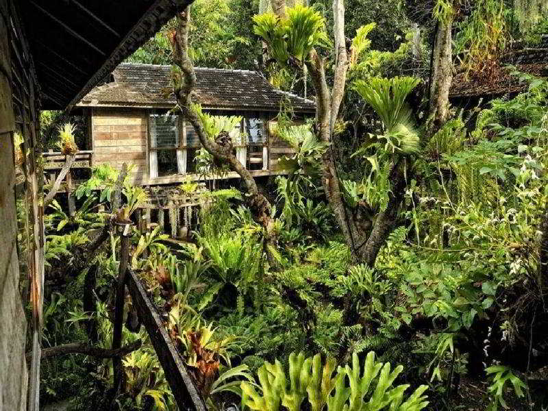 Fern Paradise Chiang Mai otel fotoğrafı