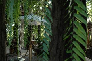 Fern Paradise Chiang Mai fotoÄŸrafÄ±