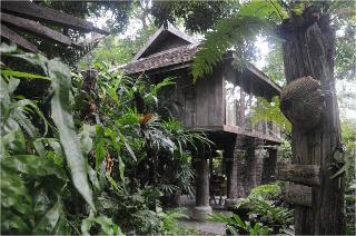 Fern Paradise Chiang Mai fotoÄŸrafÄ±