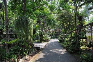 Fern Paradise Chiang Mai fotoÄŸrafÄ±