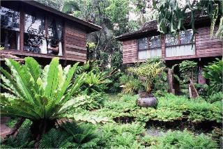 Fern Paradise Chiang Mai fotoÄŸrafÄ±