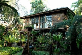 Fern Paradise Chiang Mai fotoÄŸrafÄ±