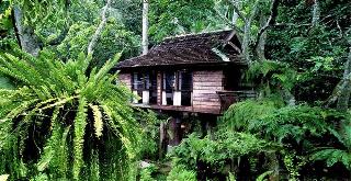 Fern Paradise Chiang Mai fotoÄŸrafÄ±