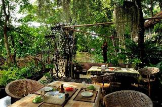 Fern Paradise Chiang Mai fotoÄŸrafÄ±