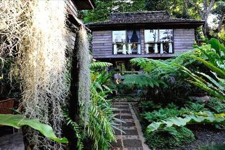 Fern Paradise Chiang Mai fotoÄŸrafÄ±