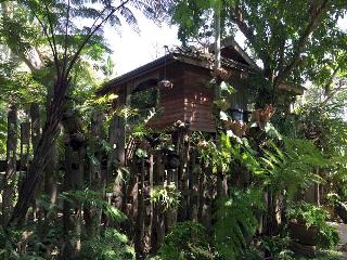 Fern Paradise Chiang Mai fotoÄŸrafÄ±