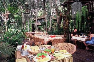 Fern Paradise Chiang Mai fotoÄŸrafÄ±