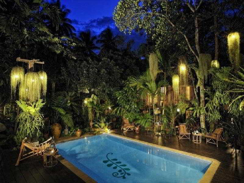 Fern Paradise Chiang Mai fotoÄŸrafÄ±