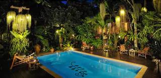 Fern Paradise Chiang Mai fotoÄŸrafÄ±
