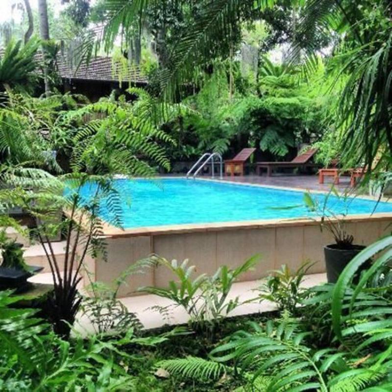 Fern Paradise Chiang Mai - Havuz