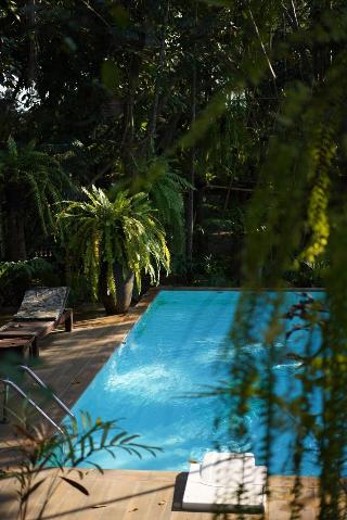 Fern Paradise Chiang Mai fotoÄŸrafÄ±