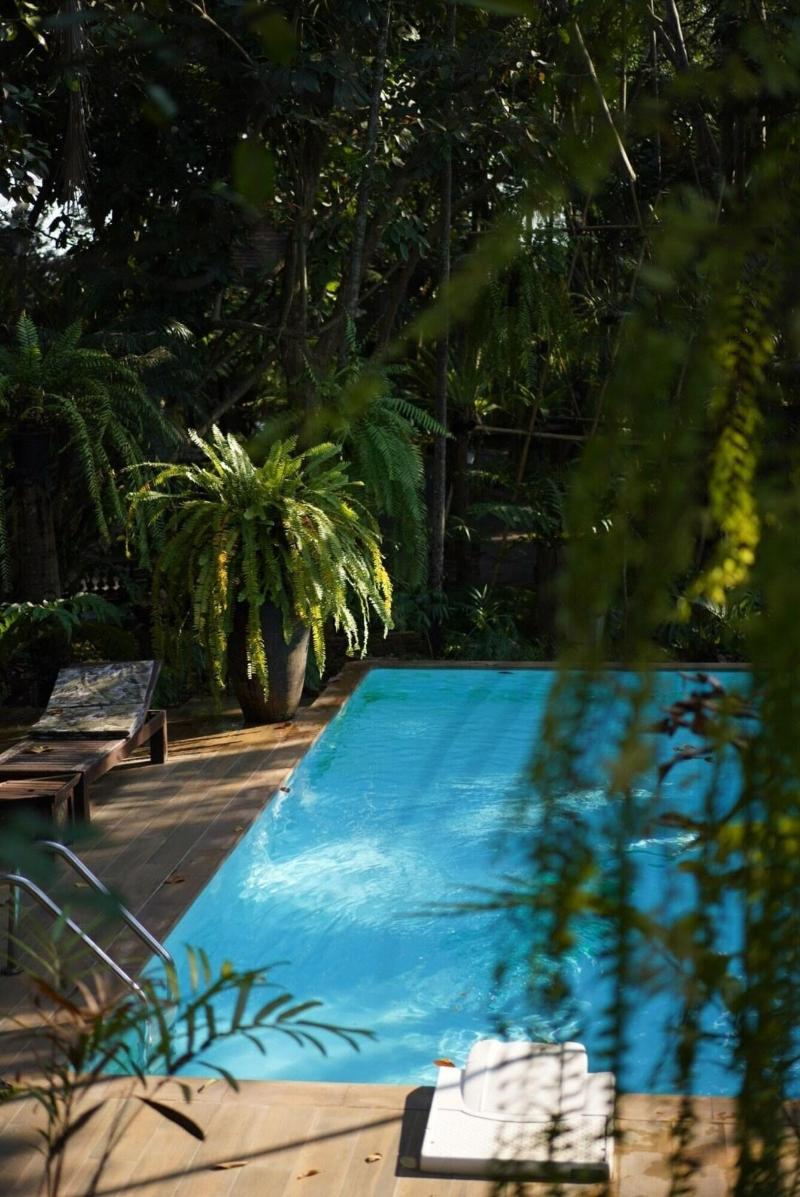 Fern Paradise Chiang Mai - Havuz