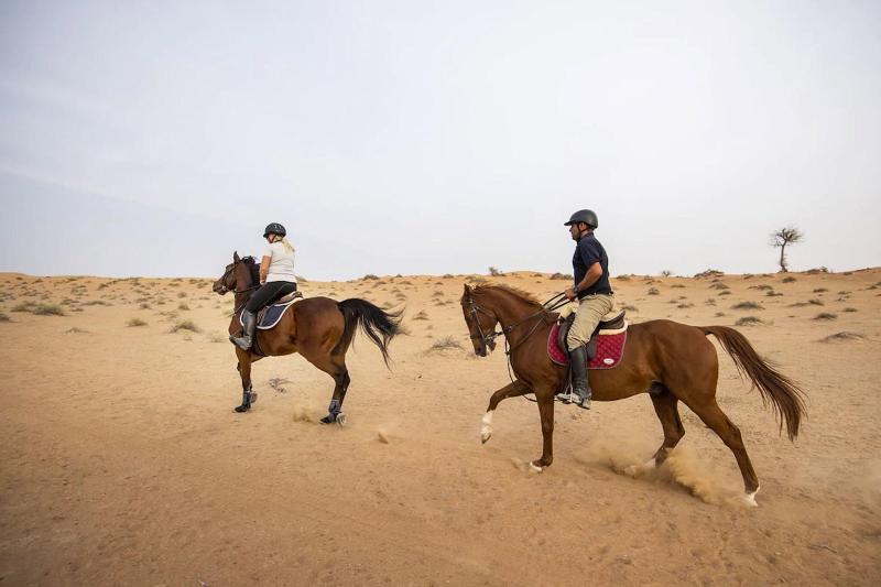Al Wadi Desert, Ras Al Khaimah, Ritz-Carlton hotel - Aktivite