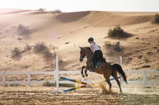 Al Wadi Desert, Ras Al Khaimah, Ritz-Carlton hotel fotoÄŸrafÄ±