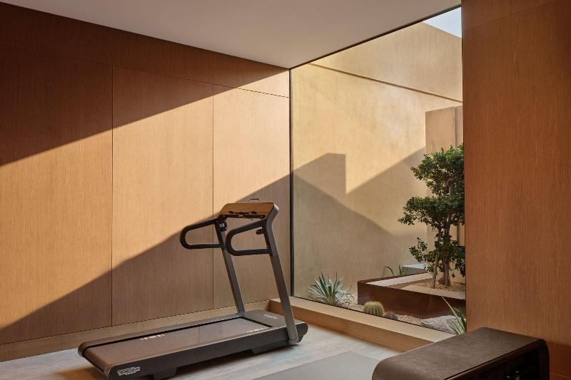 Al Wadi Desert, Ras Al Khaimah, Ritz-Carlton hotel - Aktivite