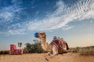 Al Wadi Desert, Ras Al Khaimah, Ritz-Carlton hotel fotoÄŸrafÄ±