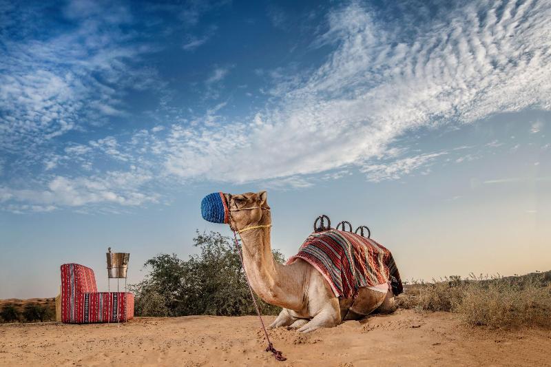 Al Wadi Desert, Ras Al Khaimah, Ritz-Carlton hotel - Genel