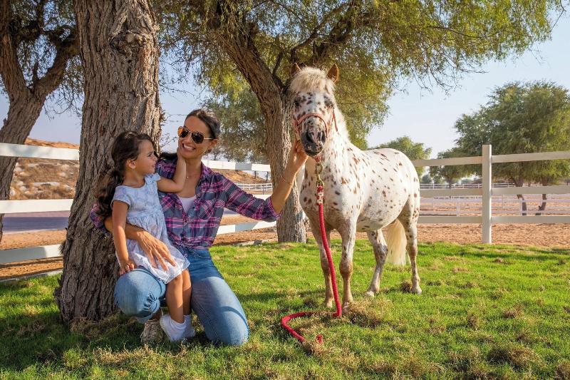 Al Wadi Desert, Ras Al Khaimah, Ritz-Carlton hotel - Genel