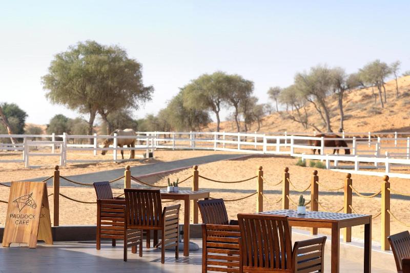 Al Wadi Desert, Ras Al Khaimah, Ritz-Carlton hotel - Restoran