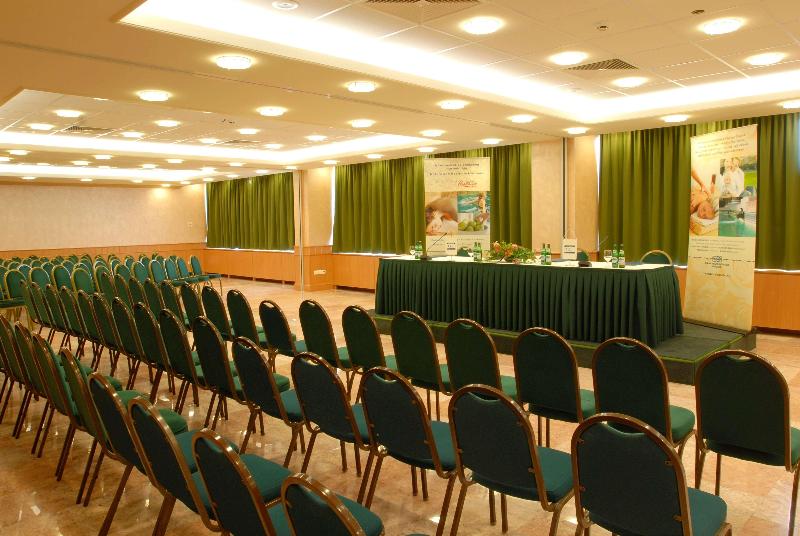 Danubius Hotel Arena - Toplantı