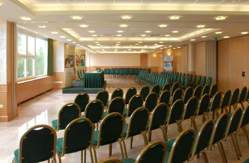 Danubius Hotel Arena - Toplantı