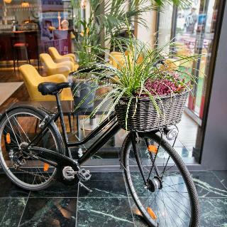 Arcotel Velvet Berlin fotoÄŸrafÄ±