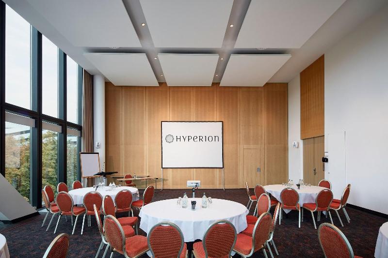 Hyperion Hotel Basel - Toplantı